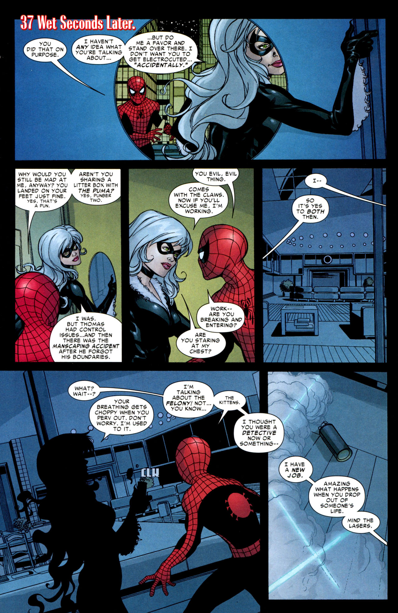 Spider Man And Black Cat Comics Porn - 4thletter! Â» black cat